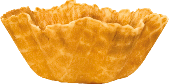 Tulipa Barquillo Mediana 144 Uds.