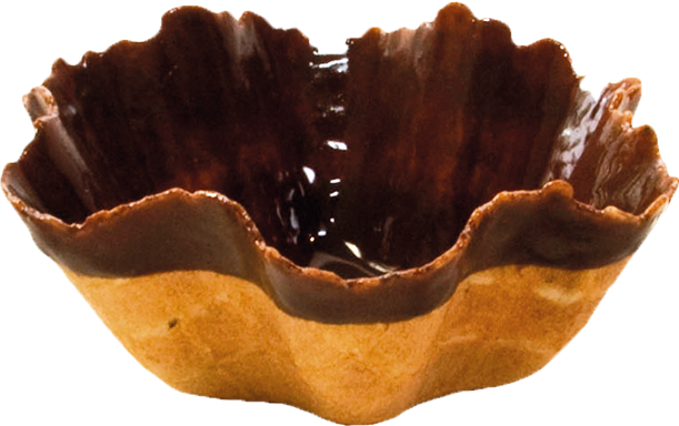 Tulipa Mediana Baño Int. 144 Ud